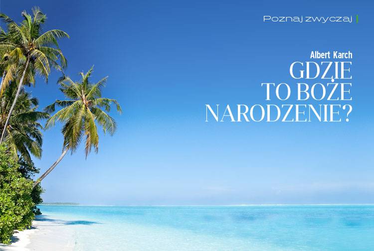 Losowy darmowy artykuł